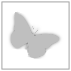  &scaron;těňata BIRO Jork&scaron;irsk&yacute; teri&eacute;r