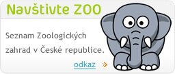 nav&scaron;tivte ZOO