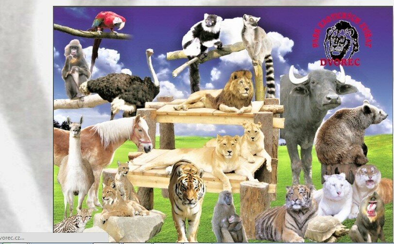 ZOO DVorec